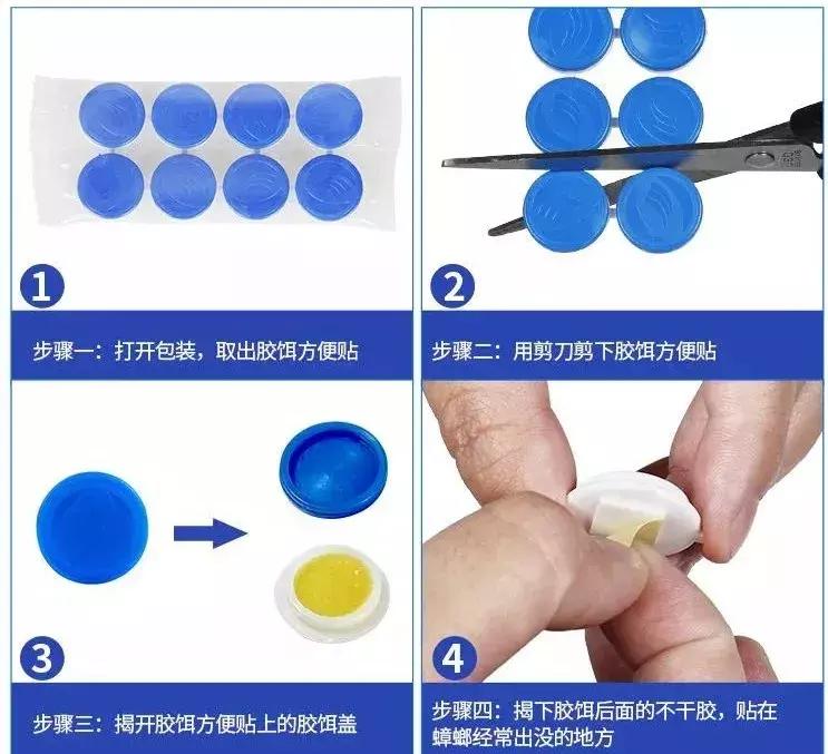 科学简单的方法解决蟑螂,科学治理蟑螂步骤