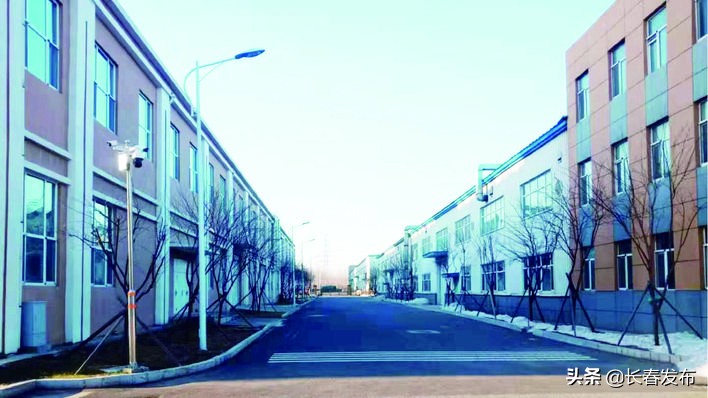 “五朵金花”嫁妆丰厚不愁嫁长春经开区建设“标准厂房”开辟招商引资新路径