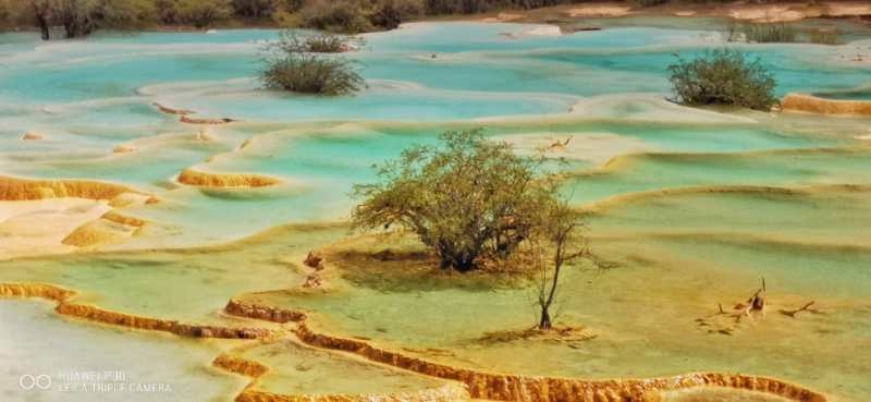 游览被誉为人间瑶池的四川黄龙,黄河之水天上来景区视频