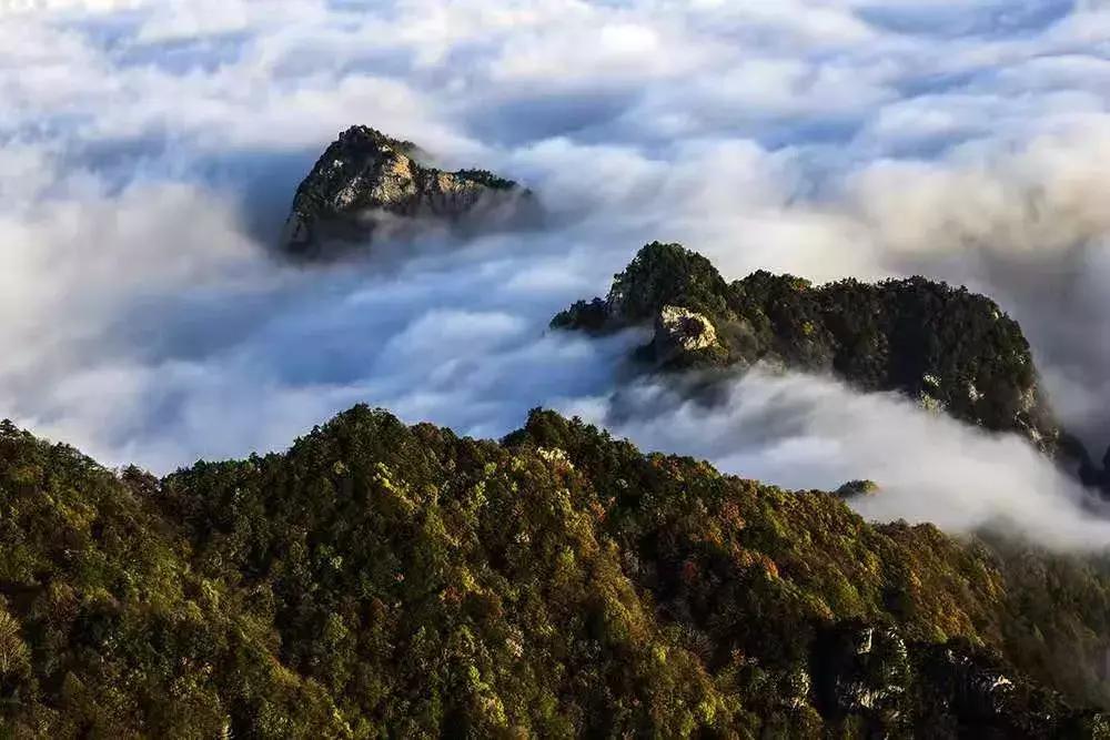 西安国际医学中心攻略,西安国际医学中心2022