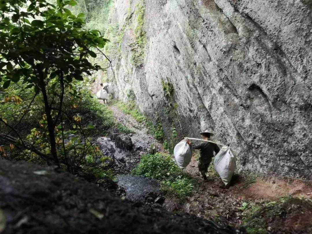 一个爱茶之人不能不去的地方,爱茶之人必去的九大茶区