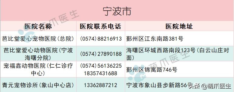 宠物医院必看,不坑的宠物医院推荐