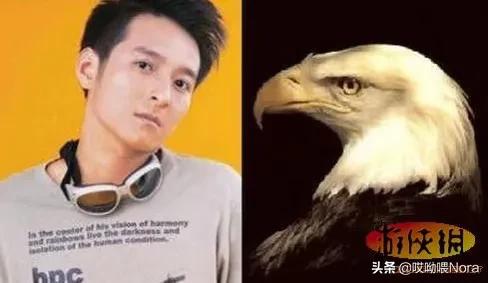 最自然的小翘鼻,鼻综合小翘鼻图片