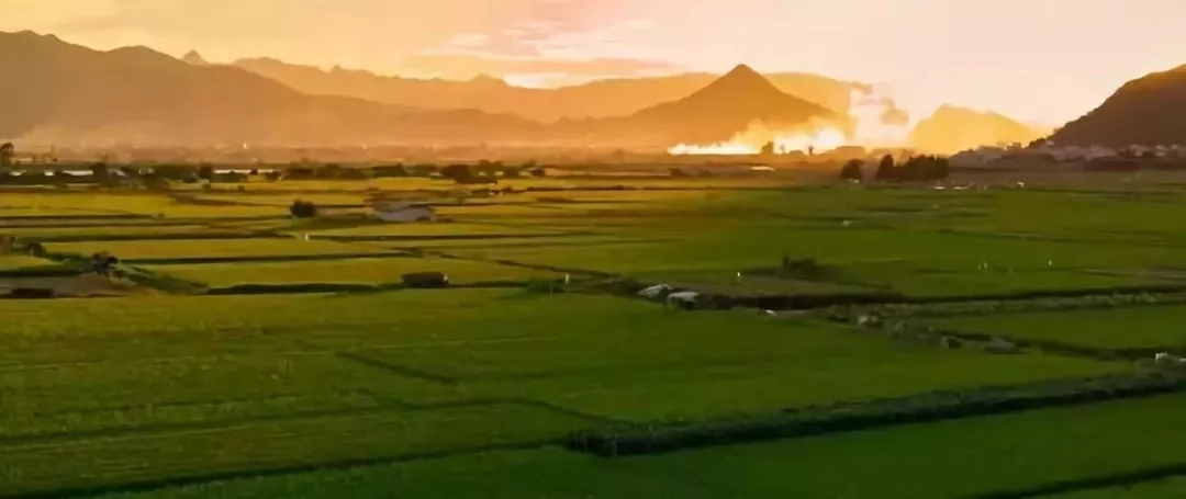 舌尖上的中国之福建美食篇粥,舌尖上的中国闽菜合集