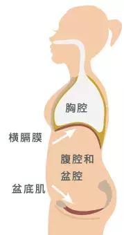 ella自曝产后尿失禁,ella自曝产后的反应