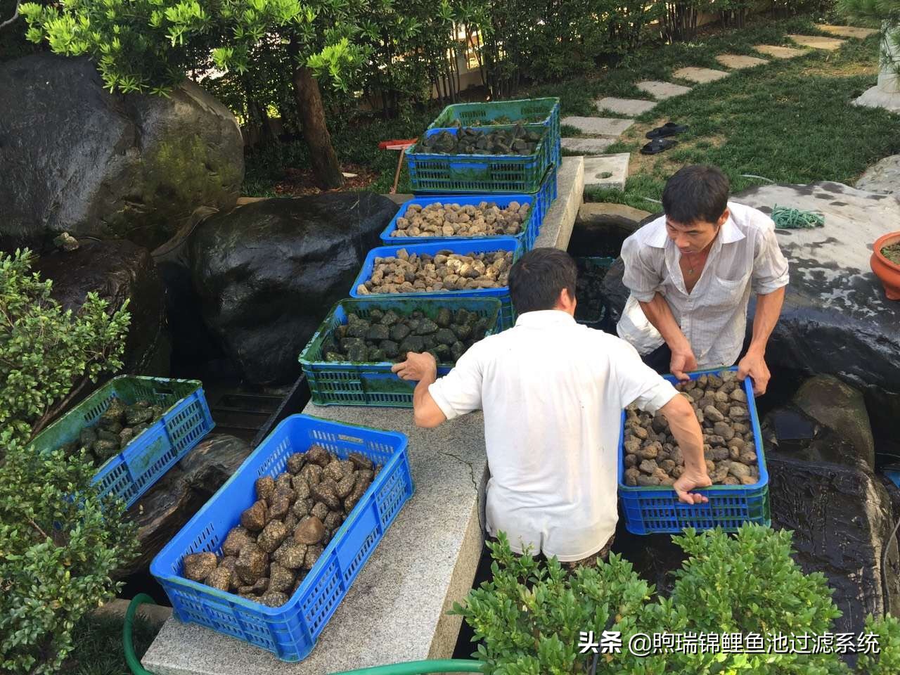 锦鲤鱼池清洗过滤的正确方法,清洗锦鲤池滤材
