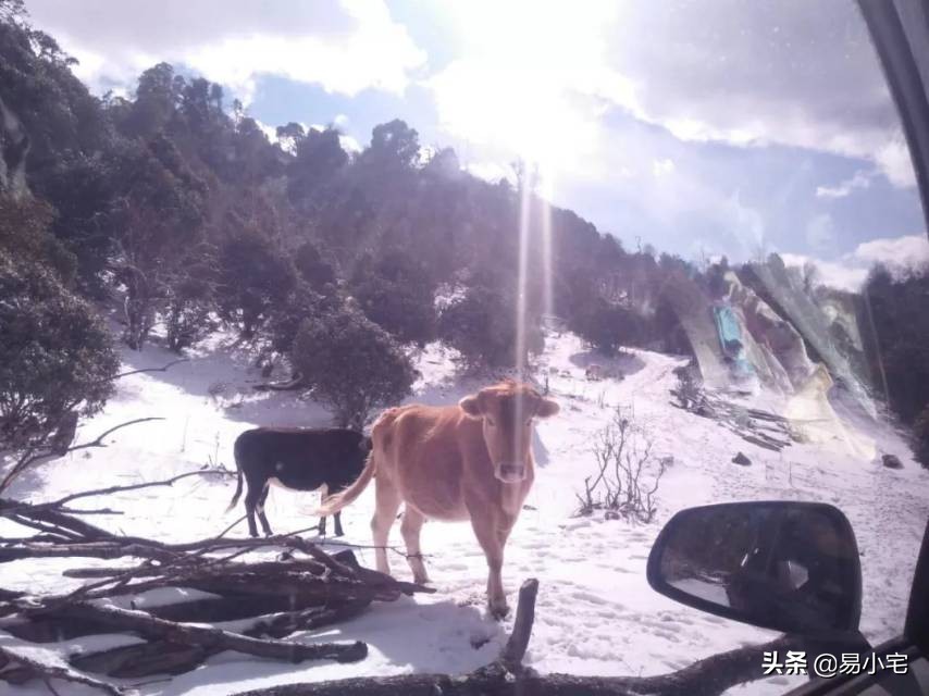 阿土|荒野生活/从城市白领到山中野人