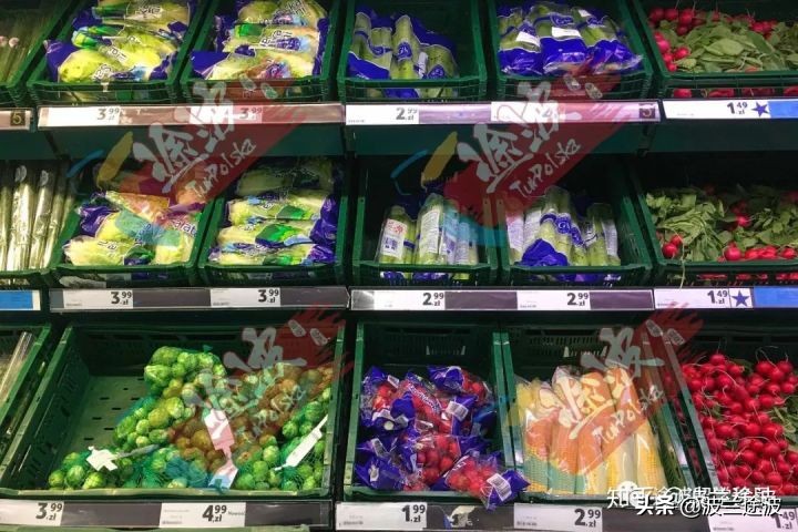 波兰物价多少钱一公斤,波兰与西班牙物价对比