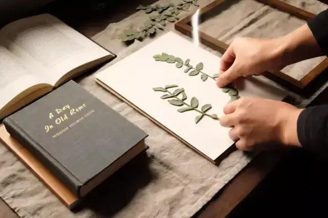 如何制作植物标本书,用小麻薯圆标本做手账