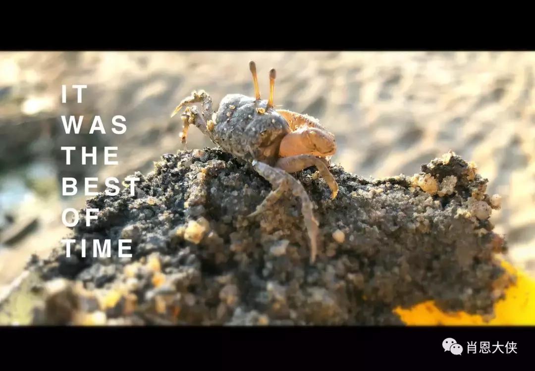 一个非典型的投资人的崛起,非典型投资者的感受