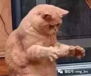 你知道内蒙古为啥不包邮吗,告诉你内蒙古不包邮的原因