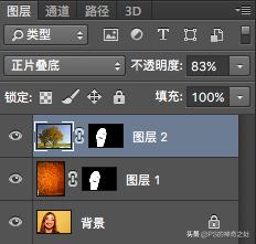 ps鎬庝箞閫変腑钂欑増,ps钂欒鐗堟湁鍝簺