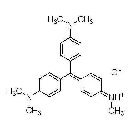 摄影大赛征稿|赋予色彩的世界