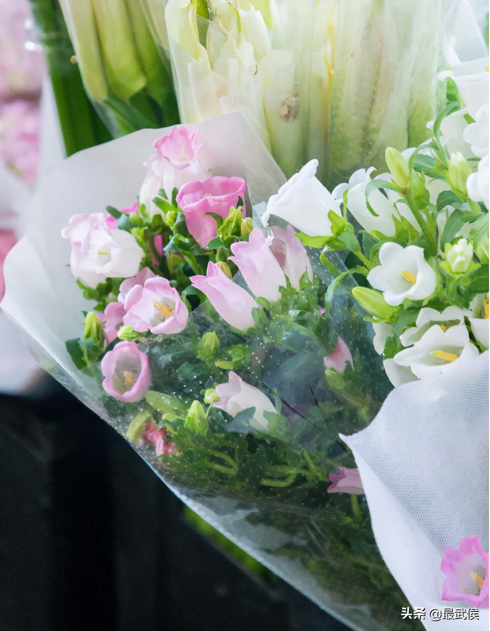 超便宜！成都铁轨下的花市5元买回一个春天！