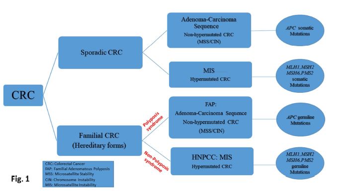 转移性结直肠癌基因问题,结直肠癌所需要检测的基因