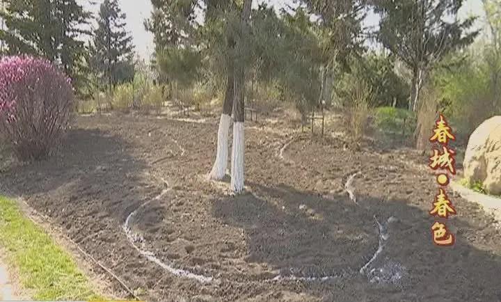 长春百花园游玩攻略,长春的百花园冬天的景色