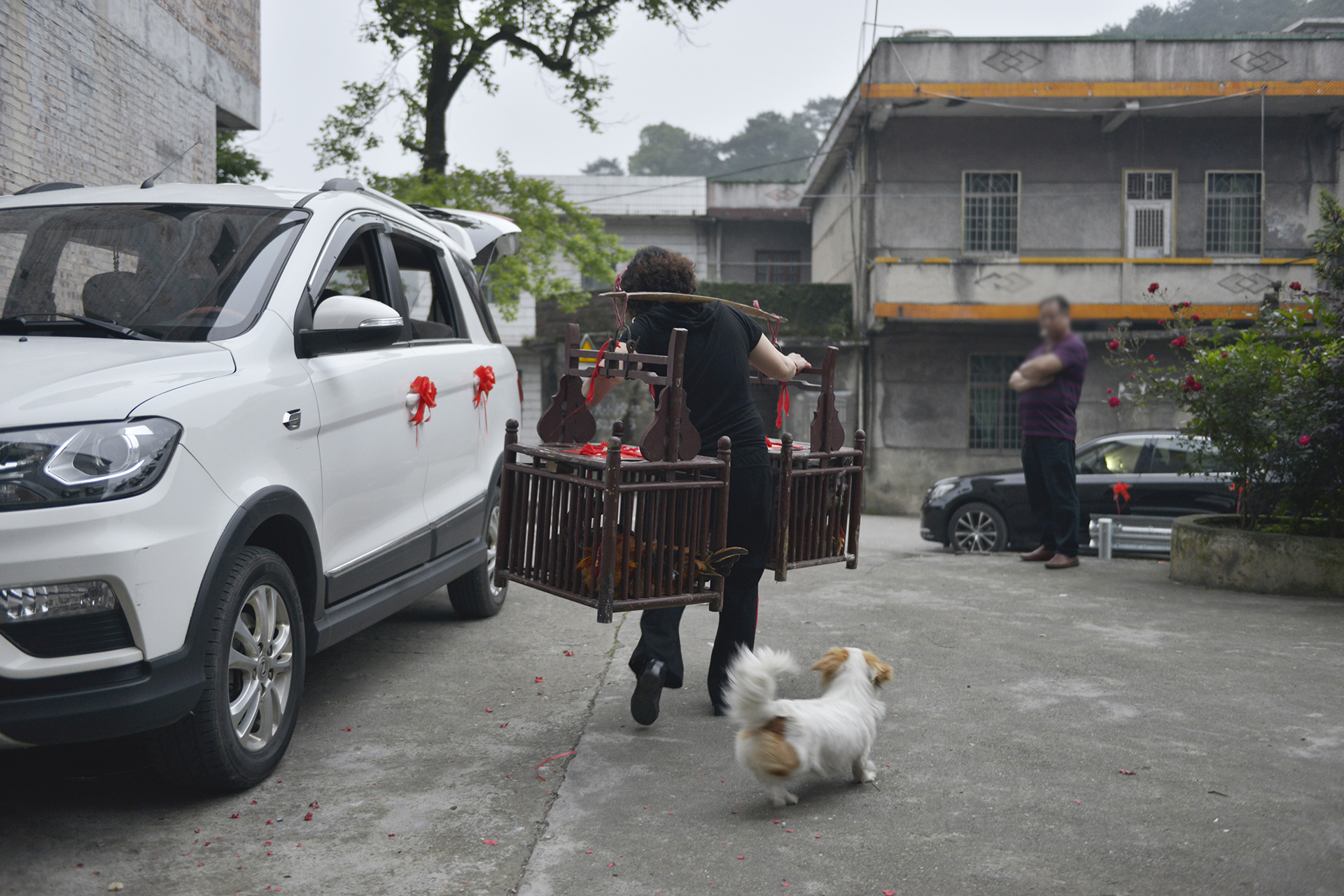 传统广府婚俗文化,岭南婚俗