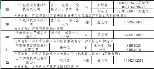 线上教师、项目经理……找工作看济南网络招聘会