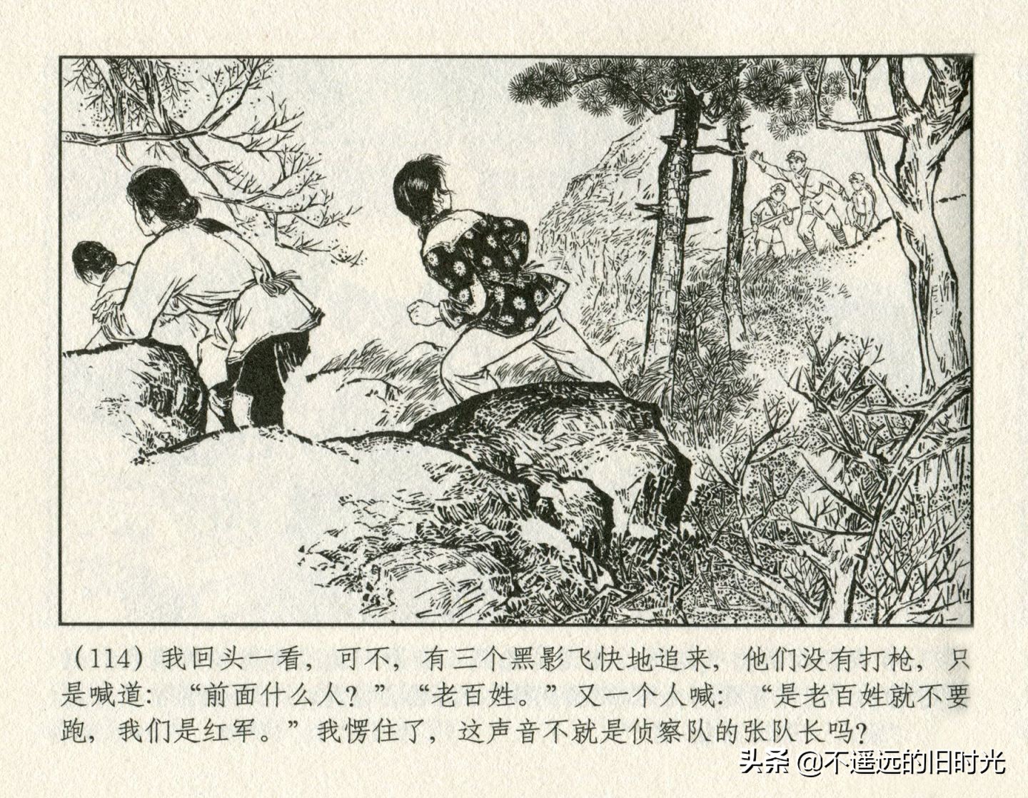 朝阳花-上海人民美术出版社1981初版2016再版陆成法陆小弟绘