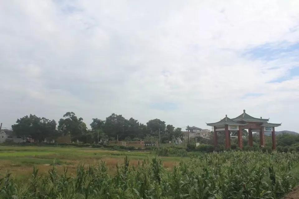 珠海斗门上横古村,珠海斗门古村古镇