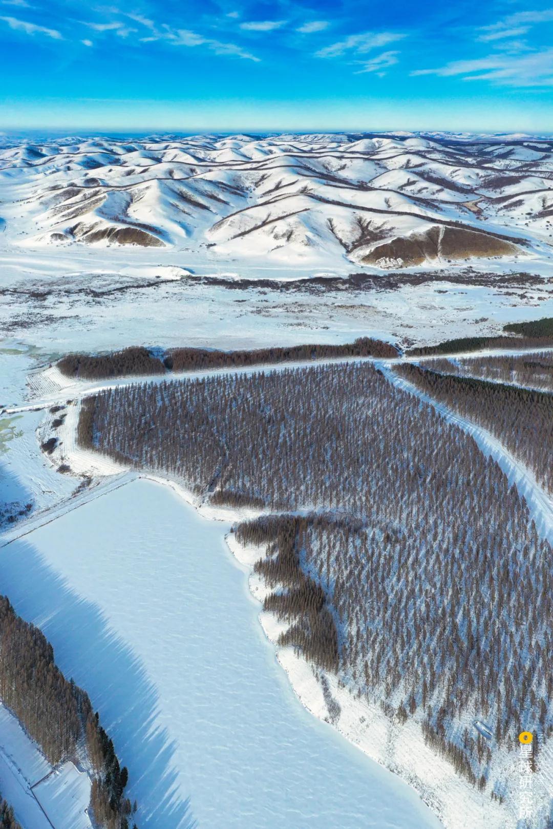 中国植树造林面积,中国植树造林成果国外有什么看法