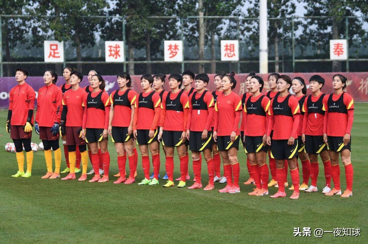 雨中的铿锵玫瑰,风雨中铿锵玫瑰在绽放