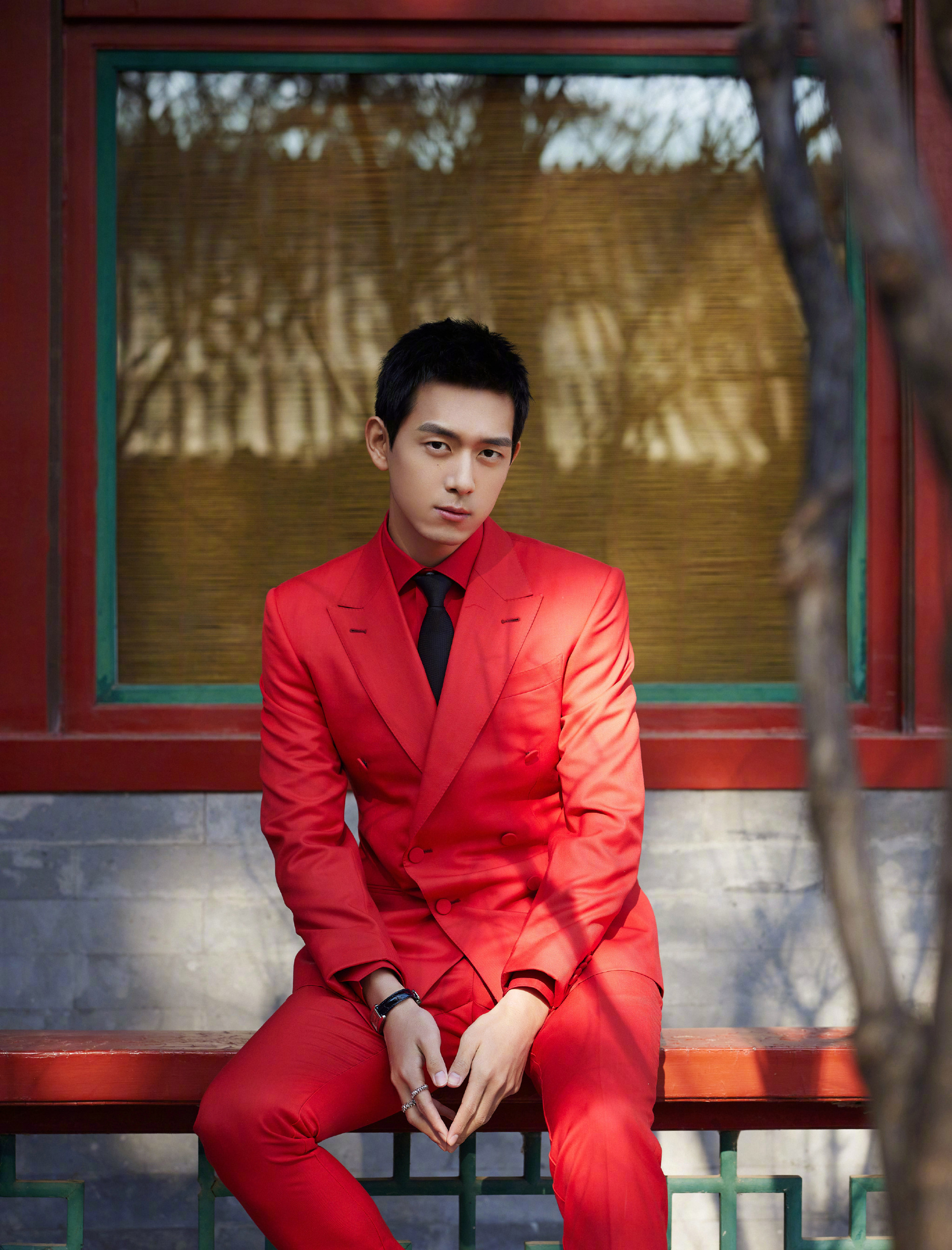 春晚明星戴的首饰,春晚明星戴的珠宝叫什么