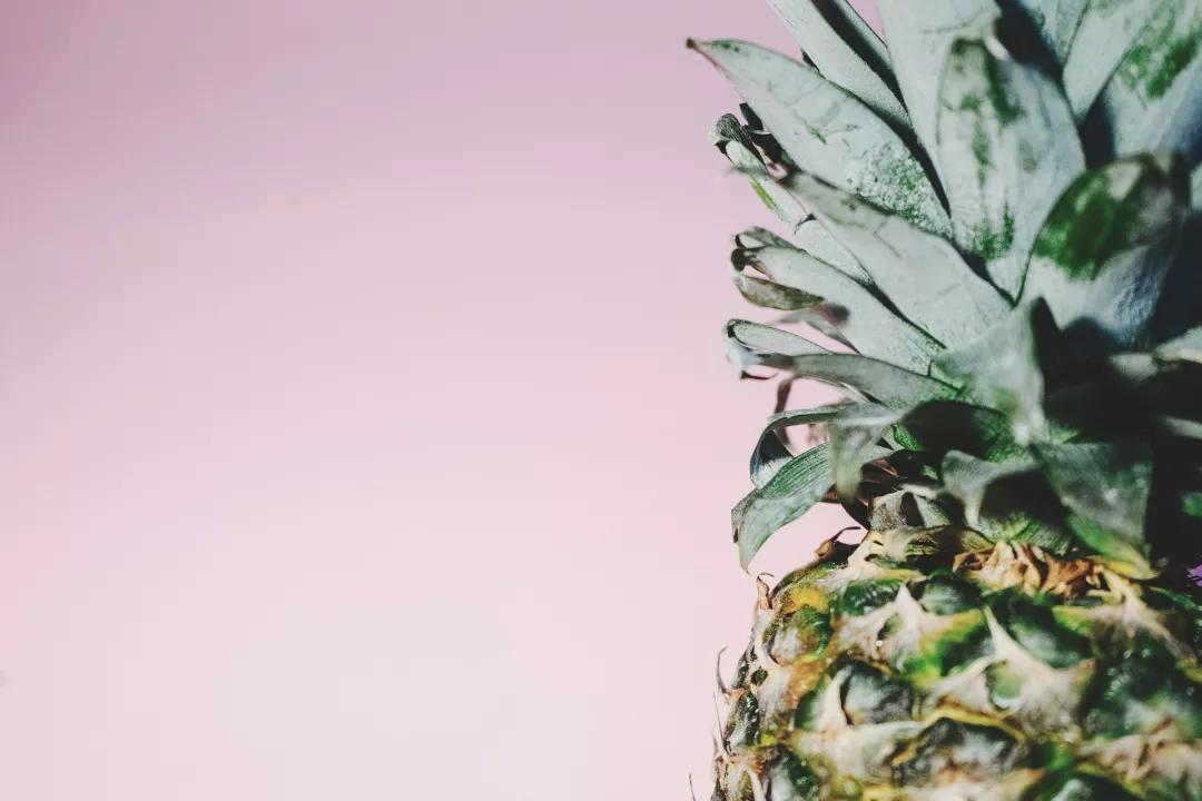 微信企业公众号运营新手教程,提高公众号关注度的运营方法