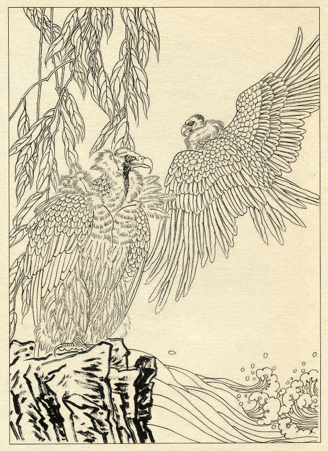 鹰的工笔底稿白描大图,白描鹰的画法图片