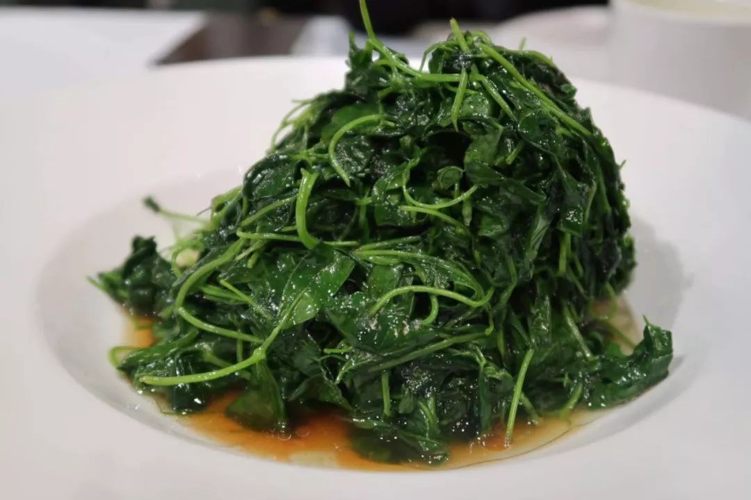 魔都最值得逛的马路,魔都网红马路视频