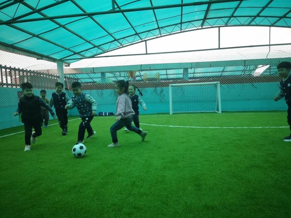 嘉禾县幼儿园特色足球活动,幼儿园快乐足球活动指南