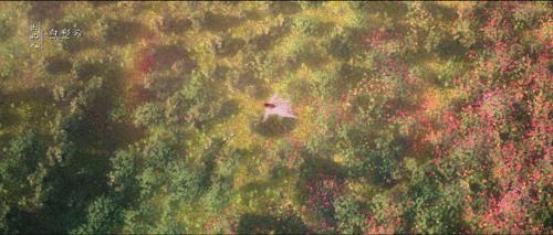 妖手摧花花神吐血,妖手摧花跳崖片段