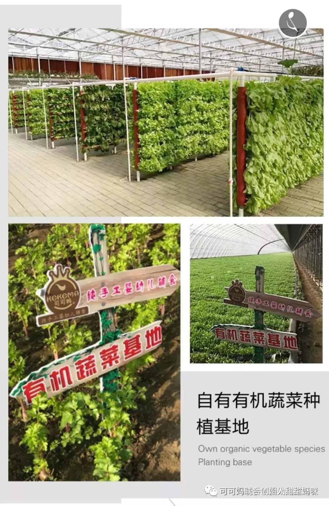 可可妈纯手工辅食代理政策,可可妈手工辅食加盟官网