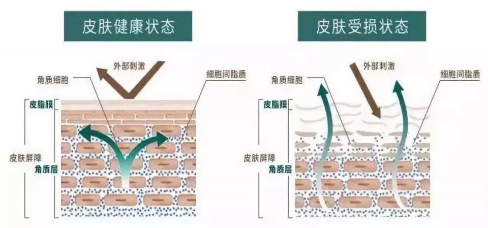“睡渣”也能神采奕奕，修仙*党**们都用什么解决缺觉难题？