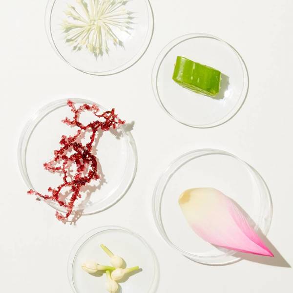 泰国莲花面部精油,泰国梵璞丽精油怎么样