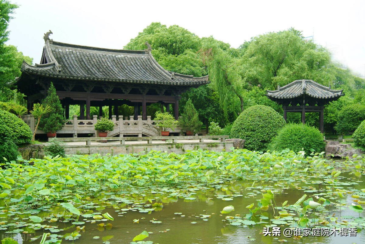 陆游写的诗五言绝句,陆游幽居译文