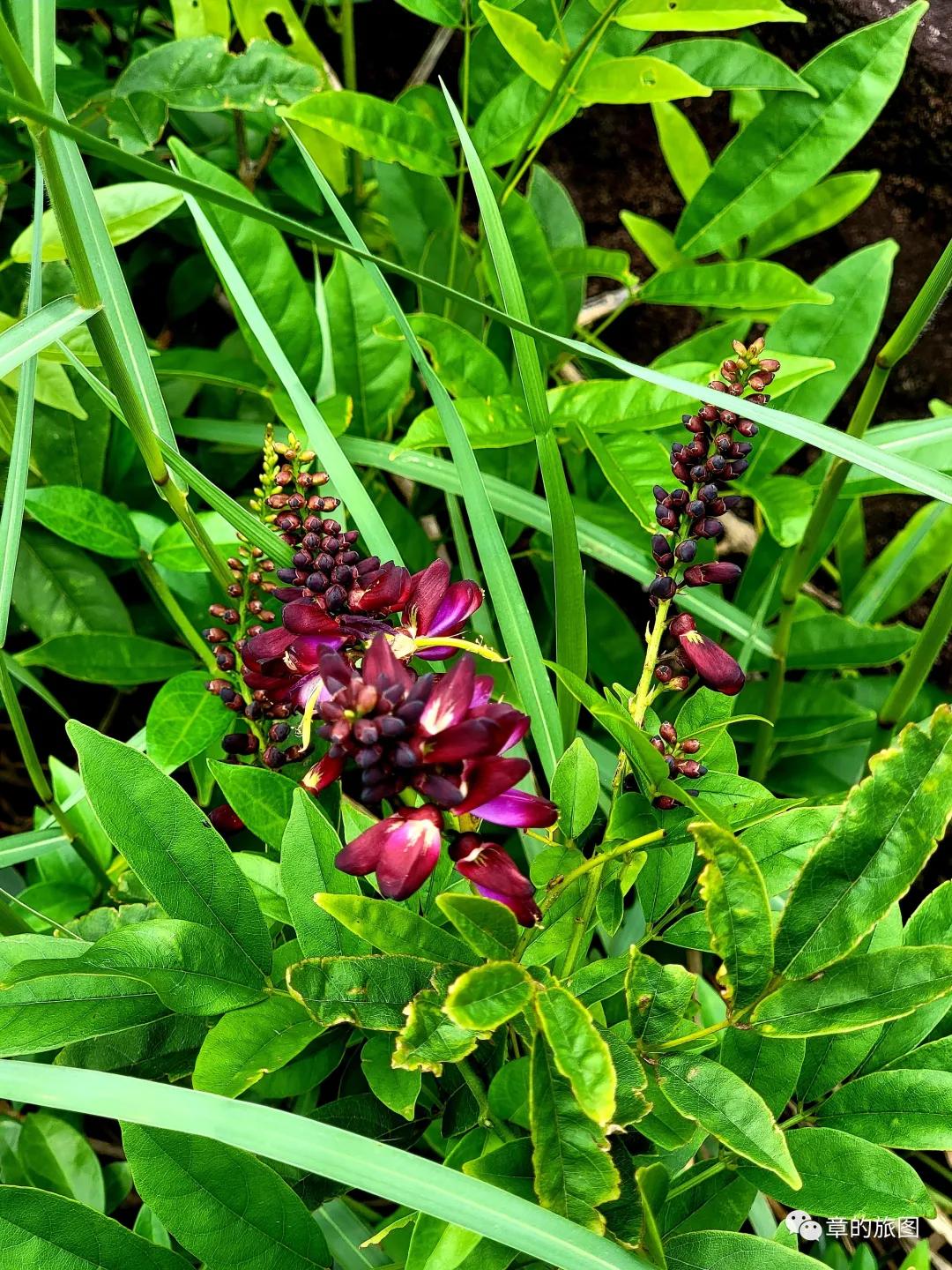 安溪野狼谷风景区,安溪野狼谷徒步