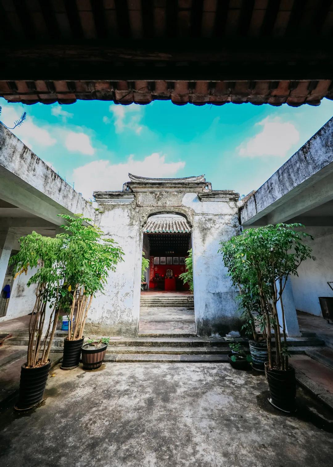 漫游东游西荡,漫游深圳城市