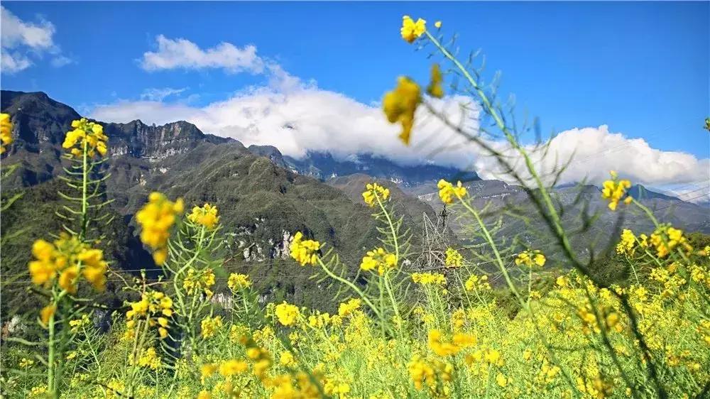 四川乐山金口河风景图片,四川乐山金口河老照片