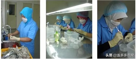 燕窝专业知识之燕窝的商品规格,燕窝知识科普燕窝是什么味道