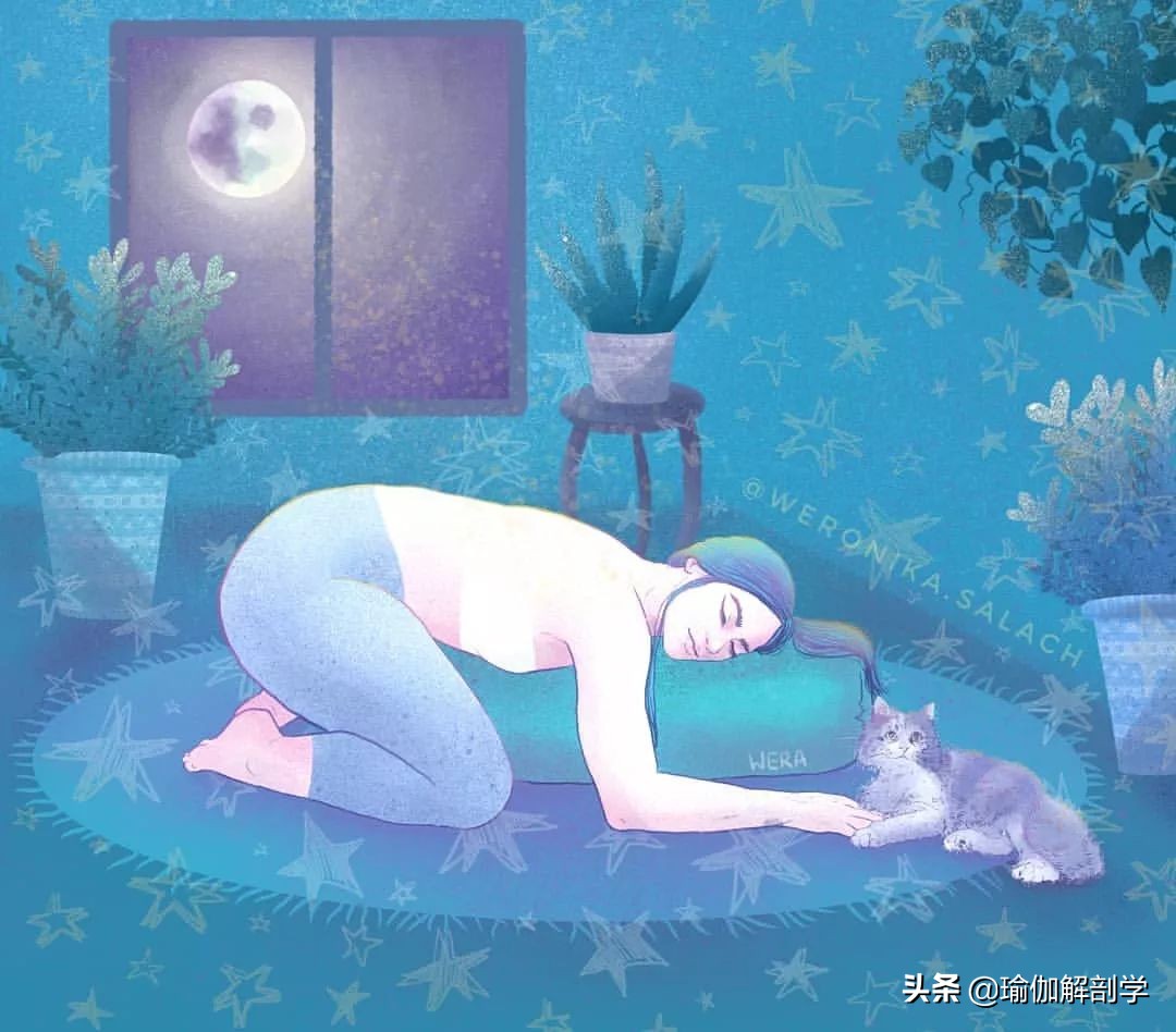 练瑜伽先练什么瑜伽,练习瑜伽之前我们要了解瑜伽