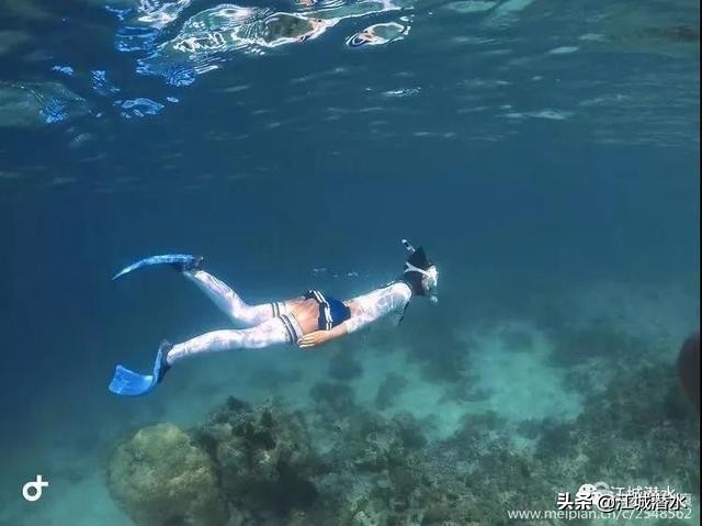 深潜与潜水的区别,自由潜水的意义是什么