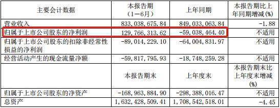 中国味精十大生产企业,味精行业的龙头