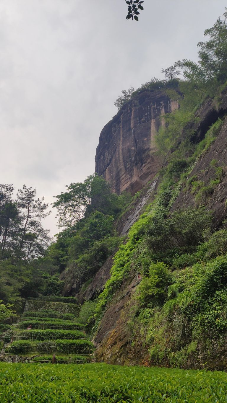 武夷山两天一夜要带什么去,旅游团武夷山两天一夜游99元
