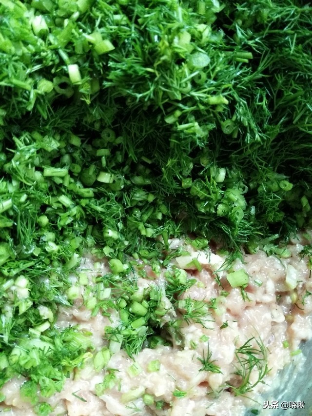 茴香馅包子好吃还是饺子好吃,茴香馅饺子茴香需不需要焯水