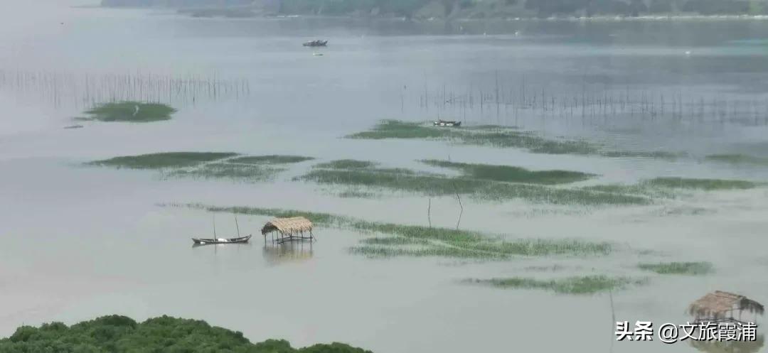 朝生为潮夕生为汐的拼音,朝生为潮夕生为汐什么意思