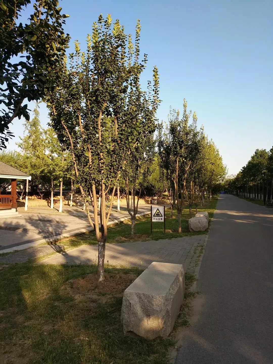 体验火车观光不用去火车站，来北京这个免费公园就可以！距市中心18公里，人少适合闲逛！