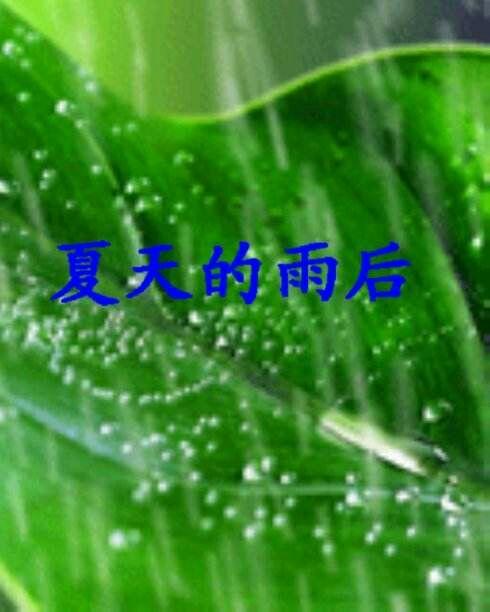 散文夏天雨后的早晨,散文夏天的雨图片