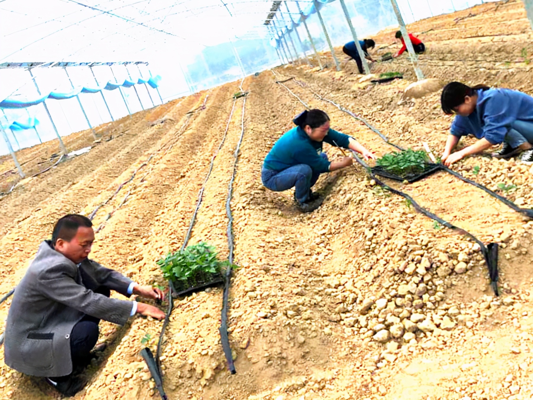 自然美才是真正的美,#自然美才是真的美