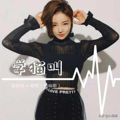 小潘潘唱黄梅戏被网友骂惨的视频,关于小潘潘翻唱黄梅戏的看法